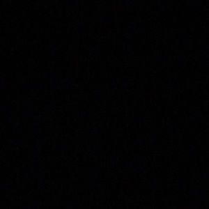 Meet your Posher, Benjamin